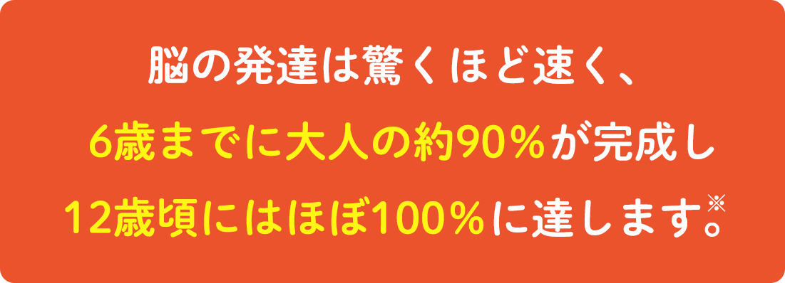 脳の発達は驚くほど速く、6歳までに大人の約90％が完成し12歳頃にはほぼ100％に達します。