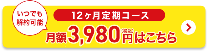定期コース